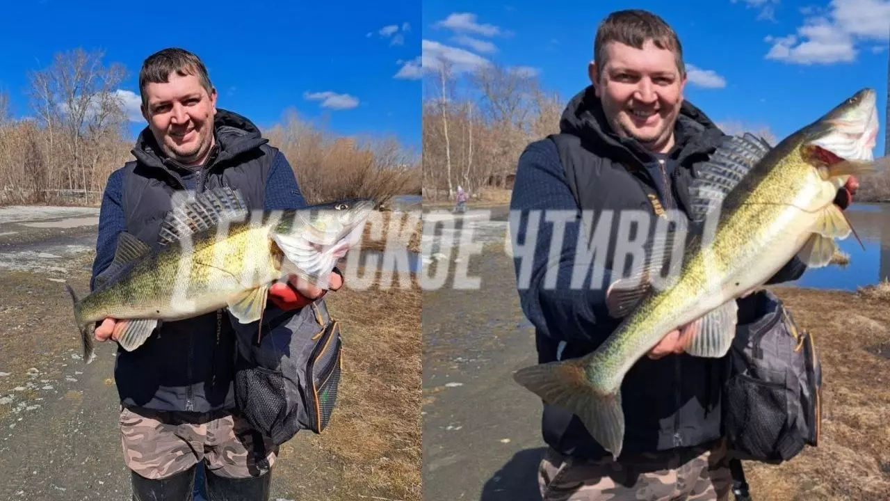 Рыбак их ХМАО поймал огромного судака на Плотинке в центре Екатеринбурга